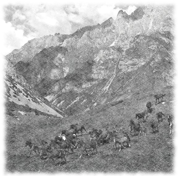 Horde de chevaux